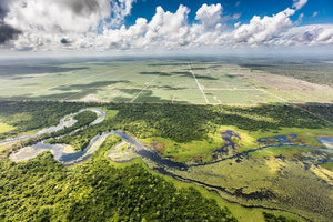 260,000 Acres Of Rainforest Protected In Belize - Because Of You! - Kati Kaia - UK