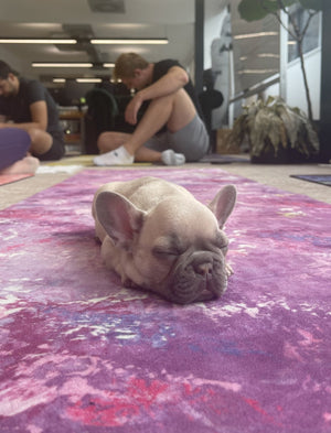 Puppy Yoga? A passing trend or brilliant? - Kati Kaia - UK