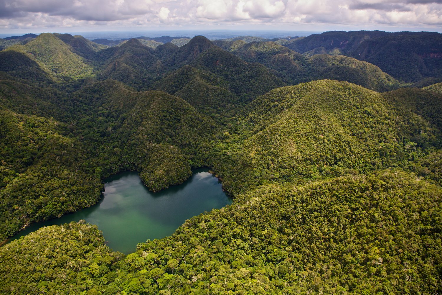 Saving Indigenous Lands in the Amazon - Kati Kaia - UK