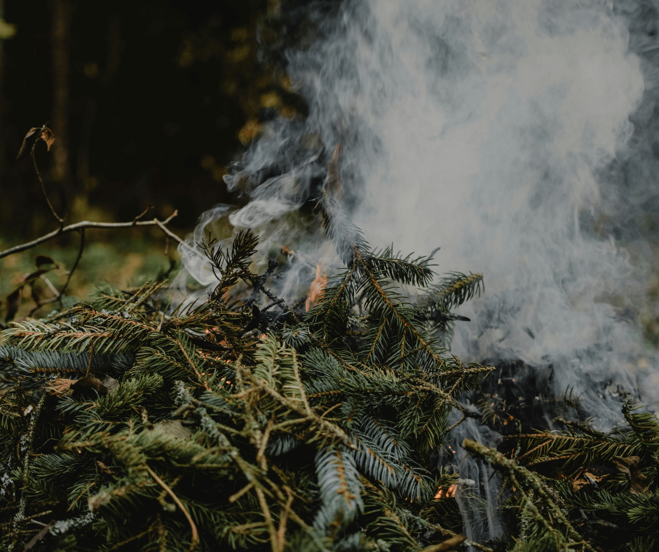 Spark Your Spirit: How a Small Beltane Fire Ceremony Can Transform Your Rituals - Kati Kaia