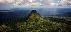 The Rainforest Trust - Kati Kaia - UK