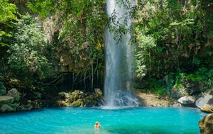 Top 5 Positive Eco News for Earth Day 2023! - Kati Kaia - UK