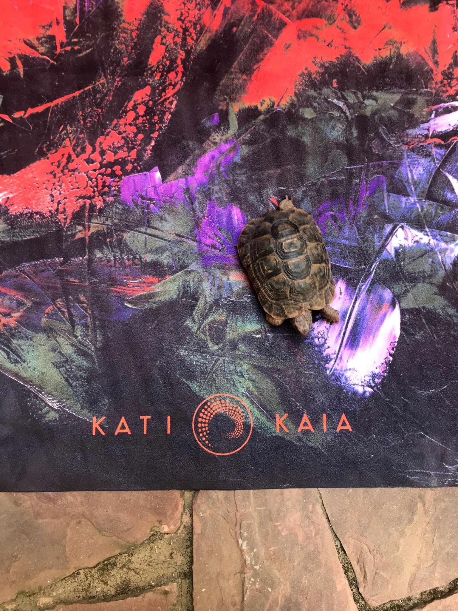 Prometheus Touring Yoga Mat - Kati Kaia - UK