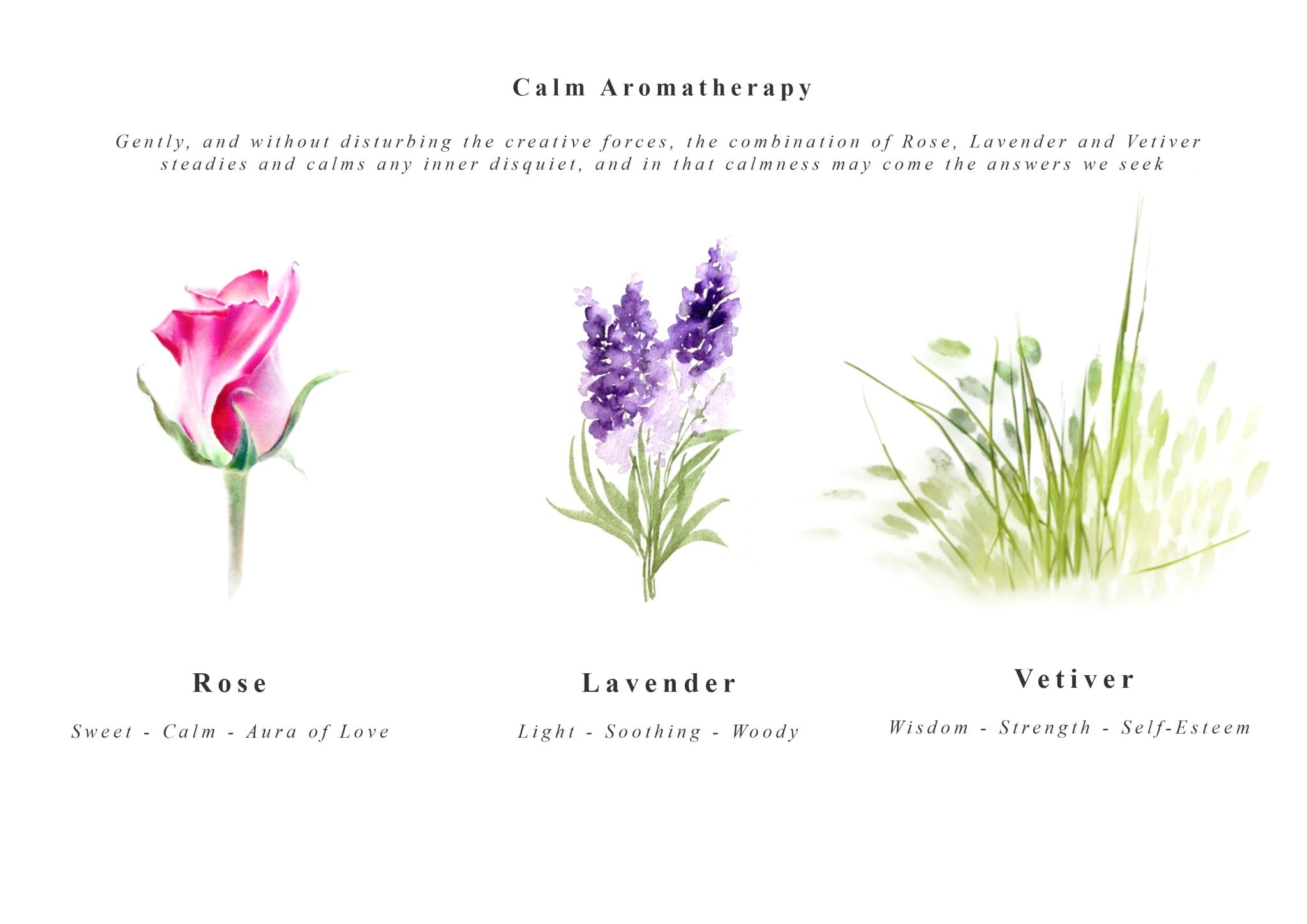 Let's Get To Sleep' Kit - Calming Oil & Spray – Kati Kaia